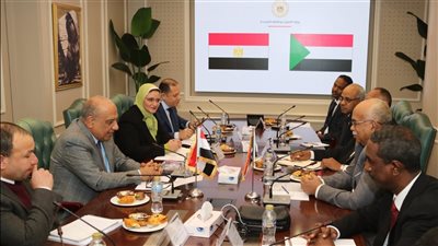 مصر والسودان تبحثان التعاون في مجالات الكهرباء والطاقات المتجددة