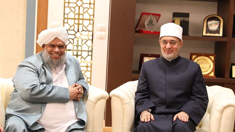 مفتي الجمهورية 