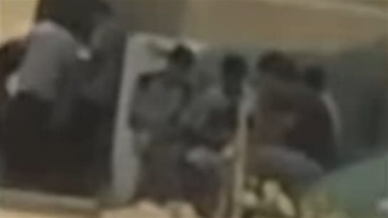 المتهمين 