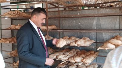محافظ المنوفية: ضبط 700 كجم دقيق وسكر أبيض و200 كجم سمن نباتي مجهول المصدر