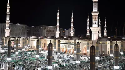كيف تحولت المدينة إلى دار السكينة والجمال؟.. عالم بالأوقاف يوضح