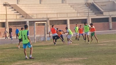 محافظ أسيوط: مشروع 