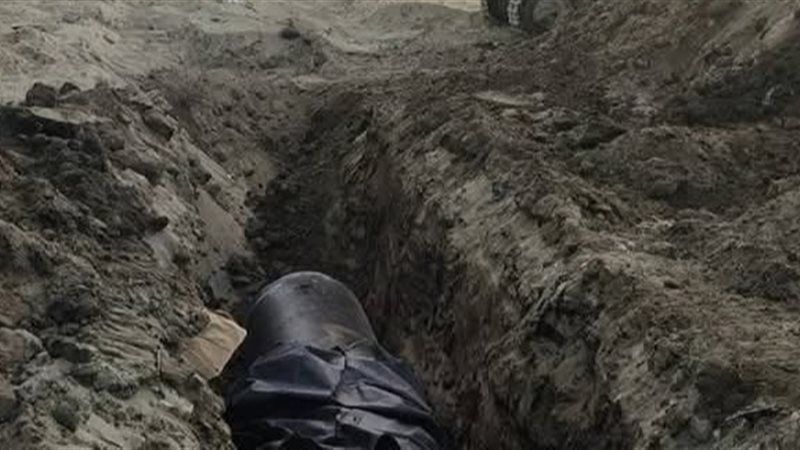 أرشيفية 