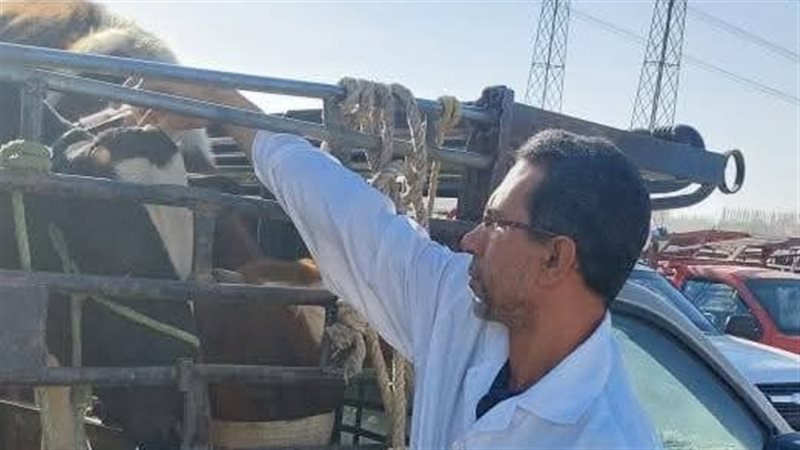 الطب البيطري 