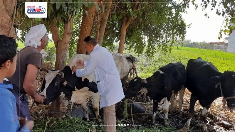 بيطري المنيا 