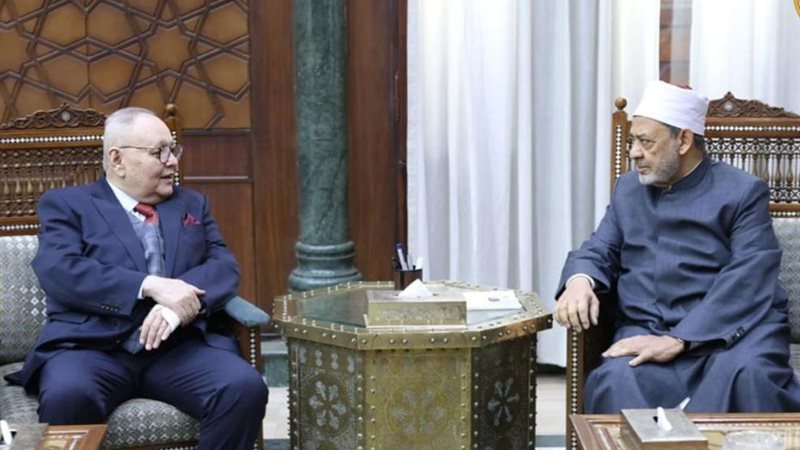 رئيس مجلس الدولة