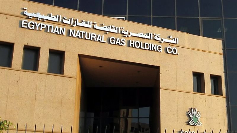 الشركة المصرية القابضة