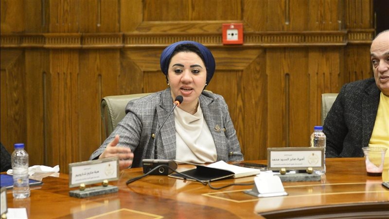 النائبة أميرة صابر