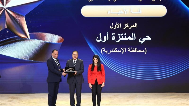 جائزة مصر للتميز