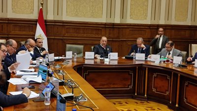 مجلس الشيوخ يناقش الأحد المقبل سياسة حماية الأطفال في الفضاء الرقمي