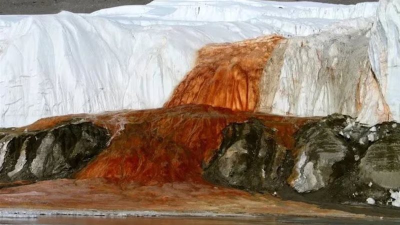 صورة موضوعية