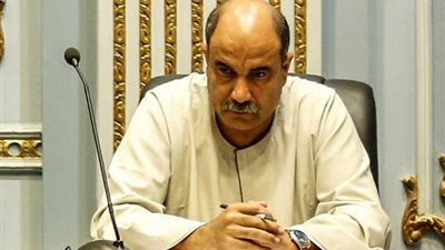 برلماني يطالب بخفض الجمارك على مدخلات الدواجن لدعم هذه الصناعة|خاص