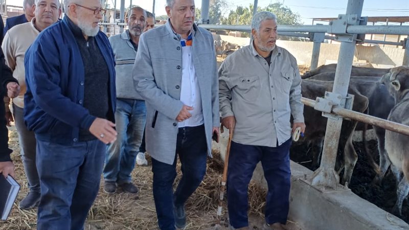 المتابعة الميدانية
