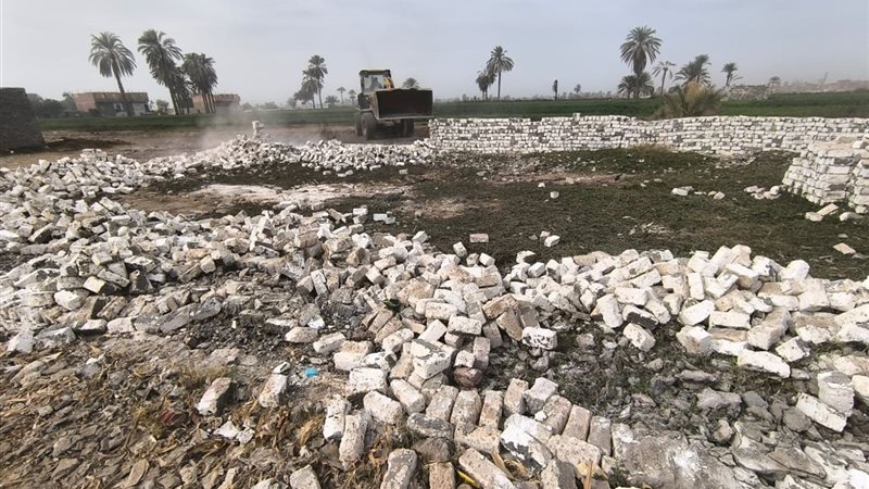 صورة واقعيه