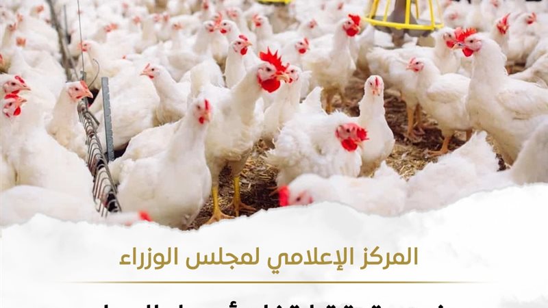 البيان 