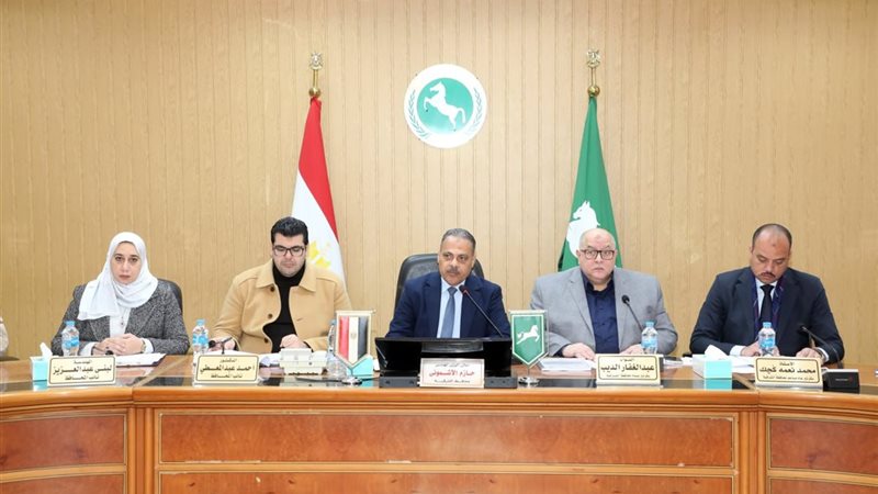 المجلس التنفيذى