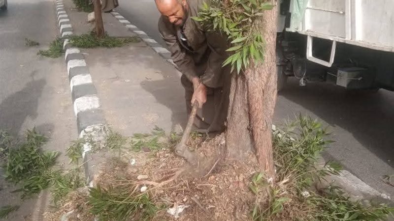 قنا