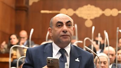 عضو بالشيوخ: حماية الأطفال من الهواتف والسوشيال ميديا أولوية تشريعية