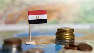 أيمن غنيم: قرار خفض سعر الفائدة يهدف لتحقيق توازن مستدام