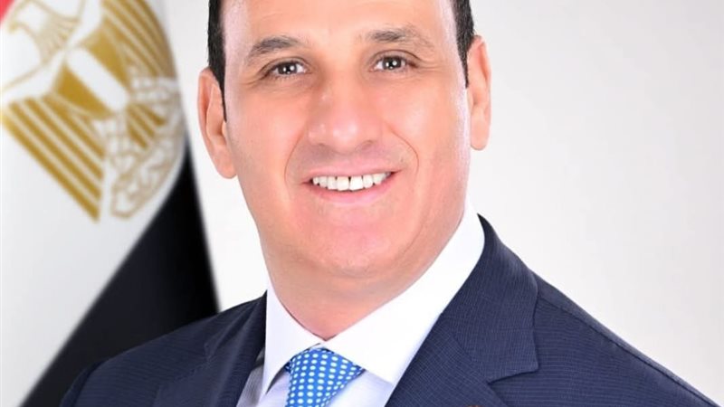 أمين مساعد حزب الوطن-