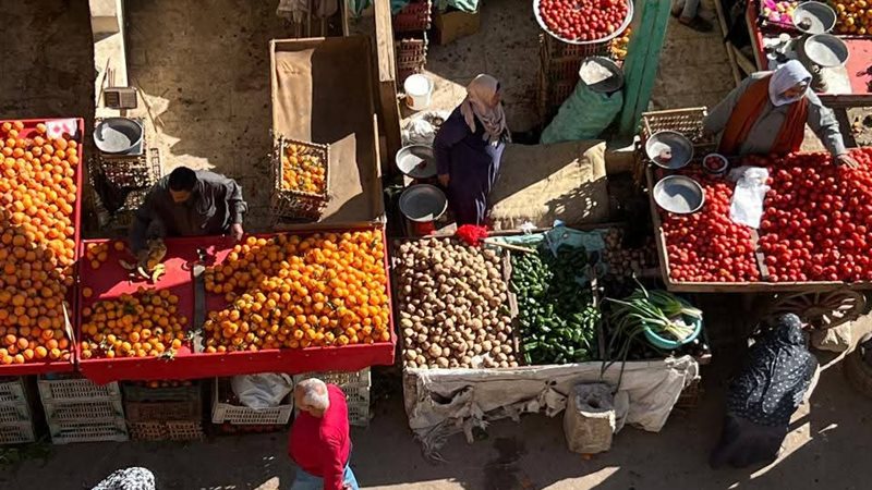 رئيس مدينة دمنهور