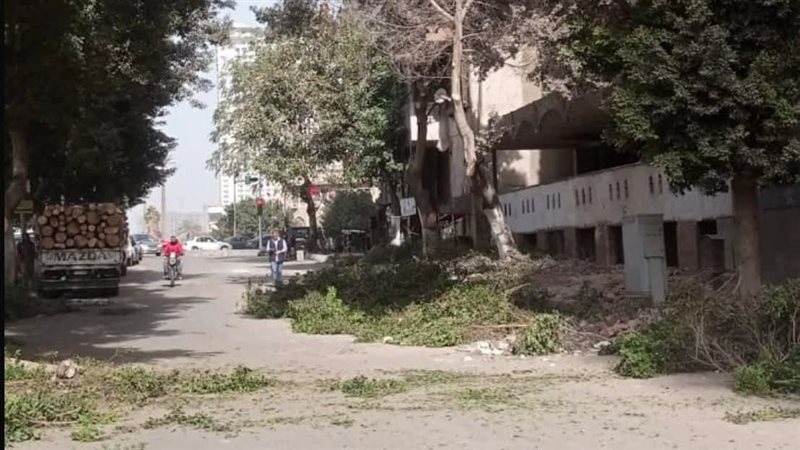 حديقة - أرشيفية