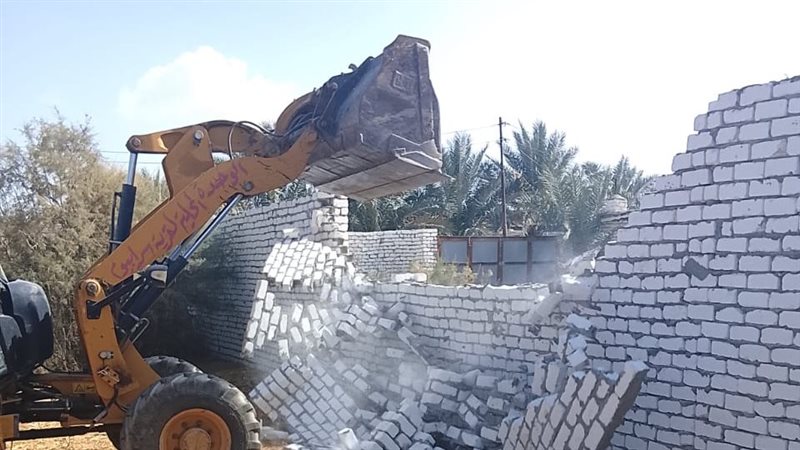 ارشيفية