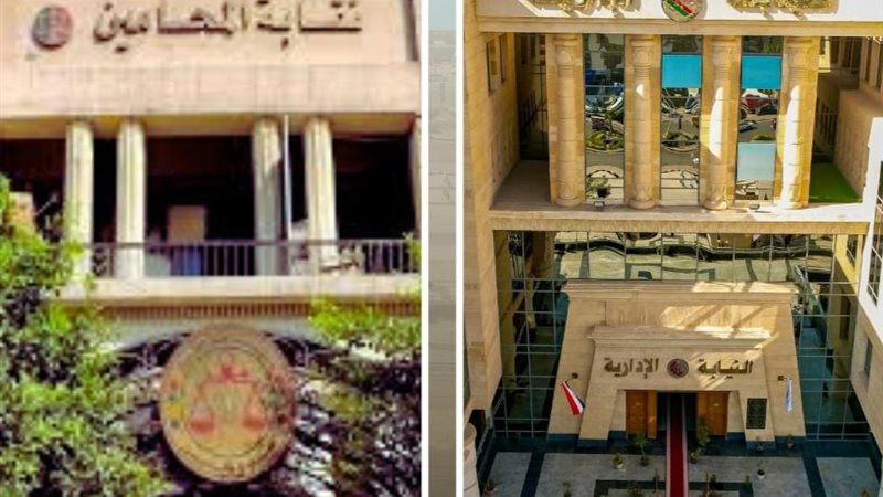 النيابة الإدارية