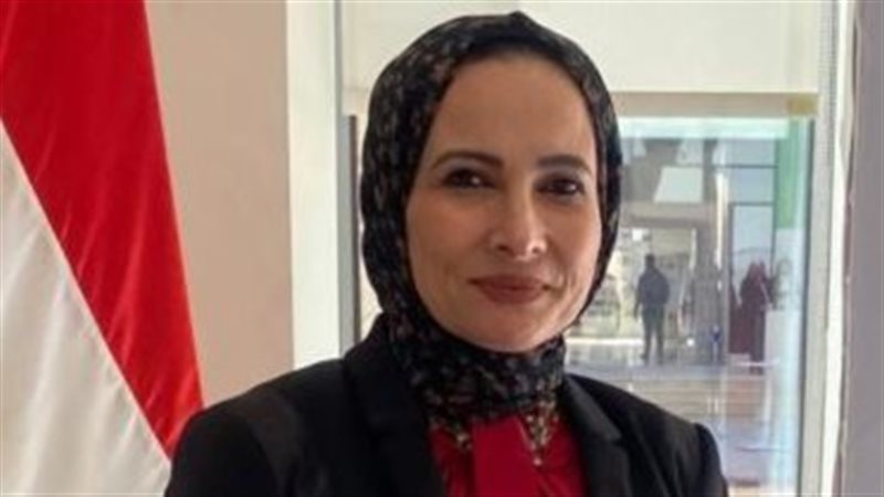 الدكتورة النائبة