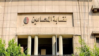 المحامون يحسمون صناديق الاقتراع ويمنحون الثقة لوجوه جديدة في انتخابات الفرعيات