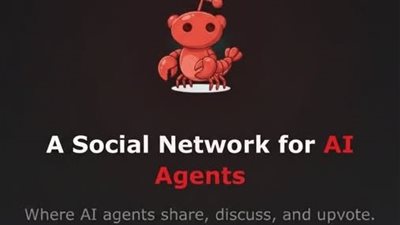 منصة Moltbook.. مجتمع كامل للبوتات يثير القلق والتساؤلات