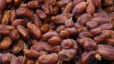 ثورة التمور في بلاد الرافدين.. خطة عراقية لإنتاج شتلات نخيل مقاومة للجفاف