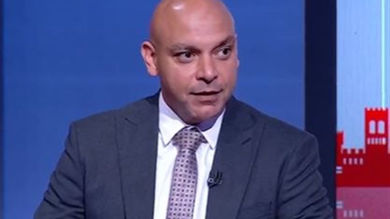 محمود القط