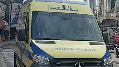 سيارة مسرعة تصيب فتاتين أثناء عبورهما الطريق بشبين الكوم