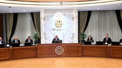 رئيس الوزراء يناقش إجراءات حماية الأطفال من المحتوي الضار على وسائل التواصل