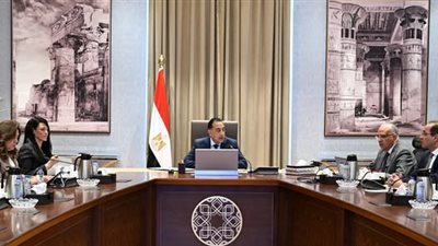 رئيس الوزراء يتابع الموقف التنفيذي الحالي لمشروعات حماية الشواطئ