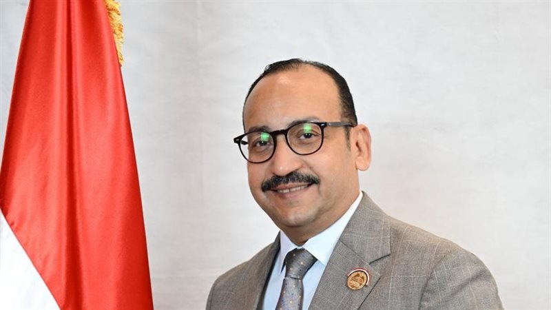 النائب عبدالعاطي