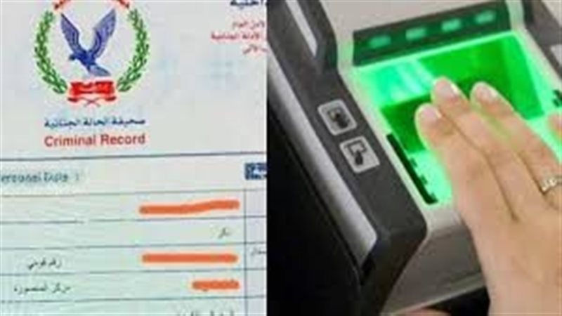فيش جنائي 