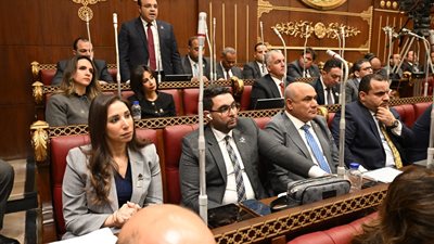 حنان وجدي: النقاشات البرلمانية تشمل البعد التربوي والنفسي والأمني للأطفال