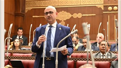 النائب مصطفى الشبراوي يطالب بمواجهة 