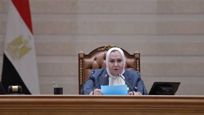 القومي للمرأة: تمكين المرأة المصرية استثمار مباشر يرفع كفاءة الموارد بنسبة 34%