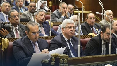 المستشار محمود فوزي: تجديد التراخيص ضرورة تتظيمية والرسوم 