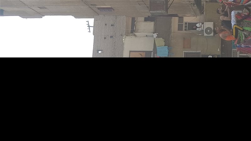 الجمال فى المولد