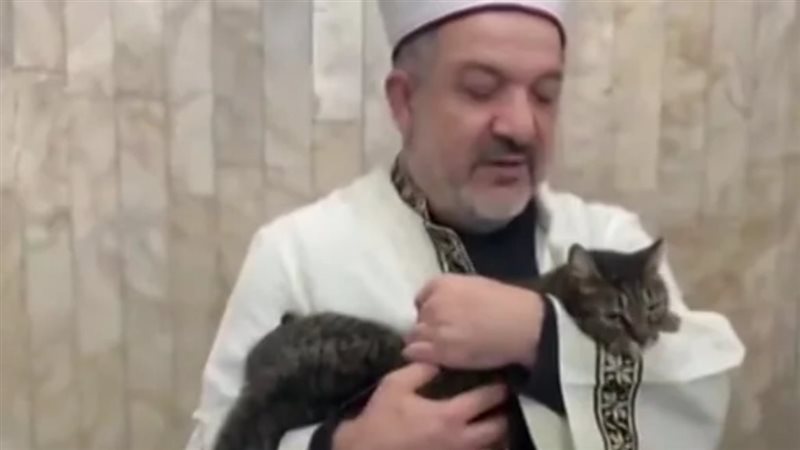 قطة في أحضان إمام