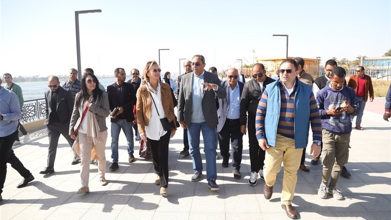 محافظ قنا 