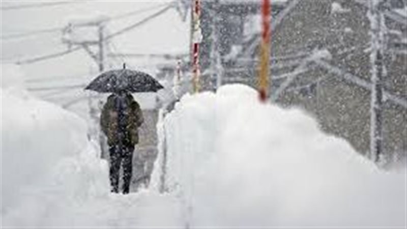 صورة موضوعية
