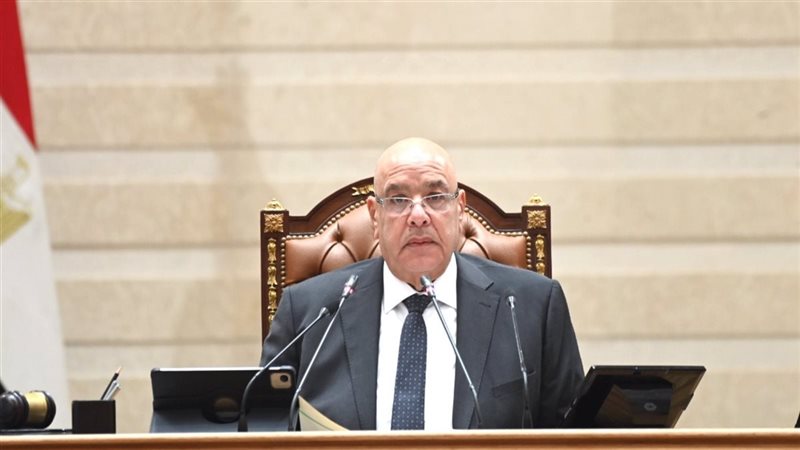 هشام بدوي