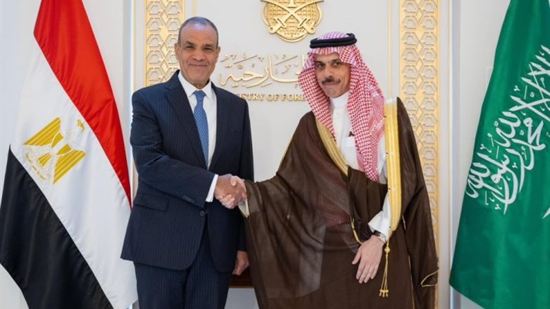 وزير الخارجية ونظيره