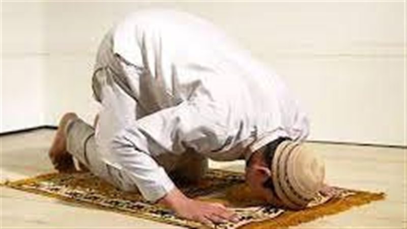 العشاء 