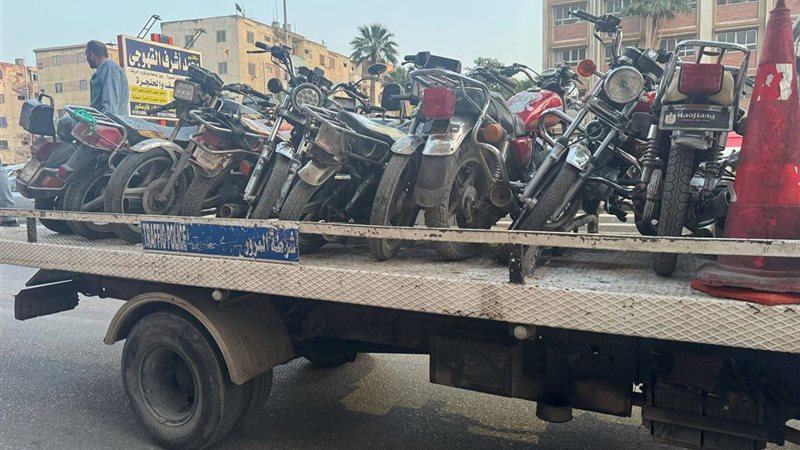 محافظ دمياط